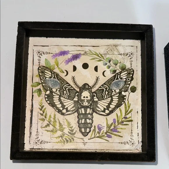 Spirit Framed Insect Art Prints - Picture 5 of 7